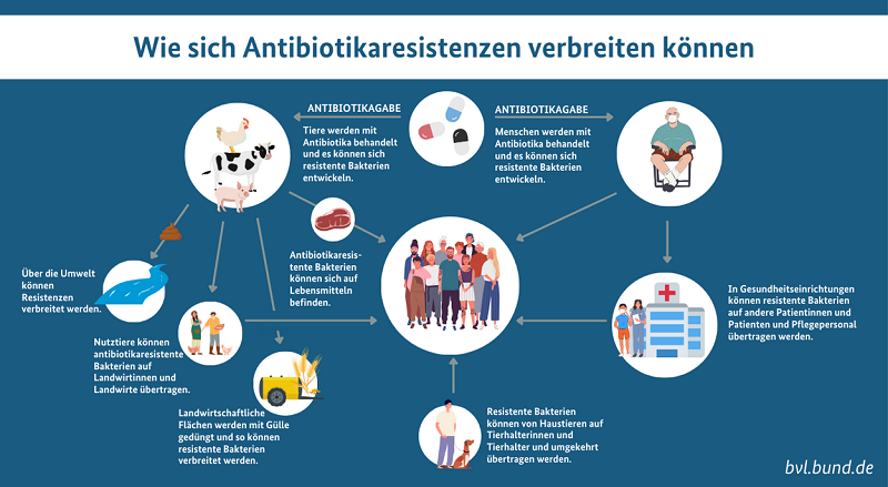 Das Bild zeigt eine Infografik zur Entstehung von Antibiotikaresistenzen.