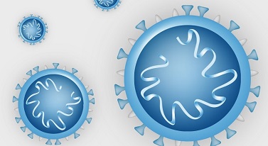 Das Bild zeigt eine Visualisierung des Corona-Virus.